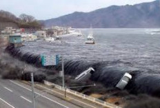 Ramalan Tsunami 5 Juli 2025 oleh 'Baba Vanga Jepang' Picu Kepanikan, Pakar dan Pemerintah Angkat Suara