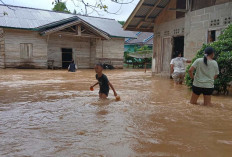 80 Rumah Terendam Luapan Sungai Panual