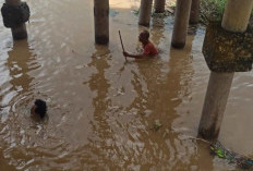 Jatuh ke Sungai dan Tenggelam, Seorang Bocah  di Kuala Jambi  Tutup Usia 