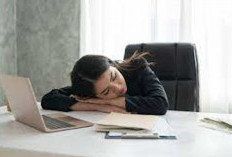 6 Manfaat Tidur Siang  Ampuh Tingkatkan Produktivitas