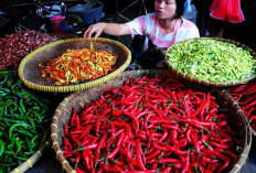 Harga Sembako Kembali Normal, Pasca Lebaran Stok Aman