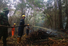 BPBD Jambi Minta BMKG Mulai Lakukan OMC 