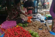 Harga Cabai Merah Merangkak Naik,  Aprinaldi: Kenaikan Tidak Melejit  