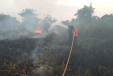 8 Kecamatan Berpotensi Karhutla, BPBD Bungo Minta Warga Tingkatkan Kewaspadaan