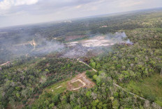 4.863 Hektar Lahan di Tanjab Barat Terbakar