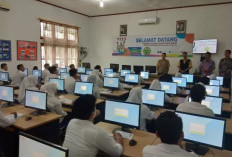 Pendaftar PPPK Didominasi Tenaga Teknis  