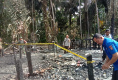 Satu Warga Luka Bakar  Kebakaran di Tanjab Timur,  2 Unit Rumah Rata