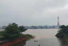 Peringatan Dini Banjir ! BPBD Ingatkan Warga Kota Jambi Siaga Kiriman Air dari Hulu Sungai Batanghari