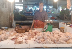 Pedagang Ayam Akui Pembeli Berkurang