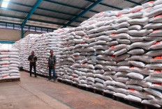 Stok Beras Aman hingga Enam Bulan