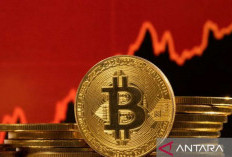 RI Peringkat Tujuh Adopsi Kripto Dunia Digeser AS dan Vietnam