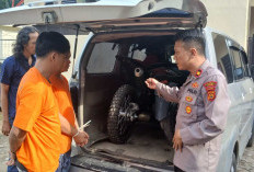 Bungkus Rapi, Kirim Lewat Jasa, Polsek Kotabaru Buru si Pengirim