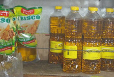 Revisi Aturan Minyak Goreng Masuk Tahap Akhir