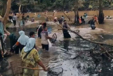Warga Pulau Batu Lestarikan Tradisi Ngacau Lupak, Ramai-ramai Tangkap Ikan di Danau