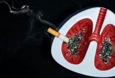 Konsisten Berhenti Merokok Selama 10 Tahun Dapat Turunkan Risiko Kanker Paru-Paru