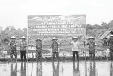 Semangat TMMD ke-123 Kodim 0416/Bute: Wujudkan Pemerataan Pembangunan dan Ketahanan Nasional