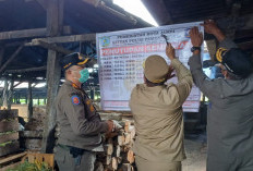 Peternakan Babi Ilegal di Jambi Timur Disegel, Diberi Waktu 1 Bulan untuk Pindah