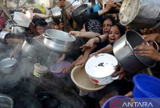 Siap Bahas Situasi Jalur Gaza,  Parlemen Belanda Akhiri Masa Reses