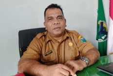 7 Kerbau Mati Terserang Penyakit