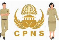 Pendaftaran CPNS Kota Jambi Dibuka Besok, Begini Cara Daftarnya!