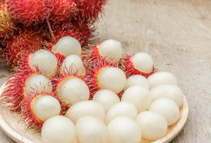 Manfaat Buah Rambutan untuk Kesehatan