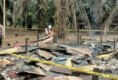 Kakek 92 Tahun Terperangkap Kobaran Api, Kebakaran Hebat di Koto Kandi Tanjab Barat 