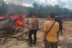 Musnahkan 6 Rakit PETI, Razia Tim Gabungan TNI Polri di   Sungai Buluh, Muara Bungo 