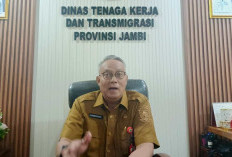 Akan Ada Job Fair Bulan November