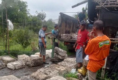 Harga Karet Minggu Ini Stabil, Petani Tetap Berharap Kenaikan 