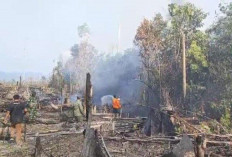 15 Hektare Lahan Terbakar di Tebo Selama 2 Pekan