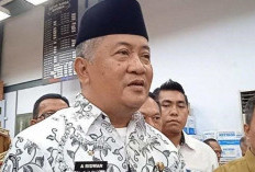 Masih Tunggu Hasil Job Fit