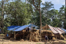 Prioritaskan Aspek Lingkungan dan Budaya, Revitalisasi KCBN Muarojambi