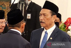 Luhut Sebut Kenaikan PPN 12 Persen akan Diundur