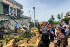 Warga Diminta Tingkatkan Kewaspadaan, Wali Kota Jambi Tinjau Lokasi Terdampak Cuaca Ekstrem