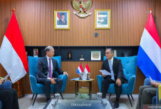 Kemdiktisaintek Perluas Kerja Sama Pendidikan Tinggi dengan Belanda