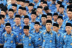 SK CPNS Kerinci Dibagikan Hari Ini, Surat Keputusan Sudah Diteken Bupati 