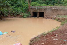 Sungai Senikat Keruh Pekat Warga Tidak Bisa Manfaatkan Air Sungai di Musim Kemarau