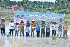 Optimalkan Sawah Kota Jambi, Wawako Diza TargetkanTambah Tanam 520 Hektare
