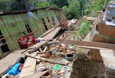 Kabar Duka, 5 Rumah Bedeng  Warga Dusun Sirih Sekapur Bungo Roboh Diterjang Longsor