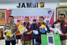 Sita Narkotika Senilai Rp1,16 Miliar, Polda Jambi Tangkap Satu Pengedar 