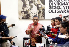 PDIP Buka Suara Soal Megawati Tak Tepat Sampaikan Amicus Curiae