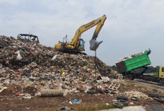 Pemda Harus Manfaatkan Peluang Dalam Tangani Sampah