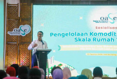 Mentan Dorong Pengelolaan Komoditas Hortikultura Skala Rumah Tangga