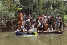 Upaya Selamatkan DAS Pengabuan, Lubuk Larangan Rengas Tapus Betuah