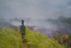 4 Kecamatan di Tanjabtim Rawan Karhutla, BPBD Bersiap Menghadapi Musim Kemarau