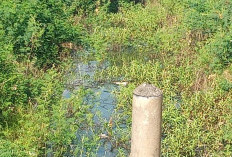  Proyek Sumur Minyak Akibatkan Banjir, DPRD Minta Pertamina Tinjau Ulang karena Timbun Sungai