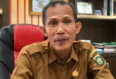 Aplikasi Si Cantik Alami Gangguan Jaringan, Layanan Izin Usaha di DPM PTSP Kabupaten Bungo Dilakukan Manual 