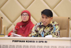 Komisi II akan Panggil Mendagri, Serta Gubernur Aceh dan Sumut 