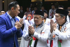  PKS Apresiasi Presiden Prabowo Perjuangkan Palestina di PBB