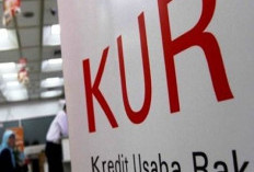 WOW! Jambi Salurkan KUR Rp4,43 Triliun ke 84 Ribu Debitur, Sektor Ini Paling Mendominasi!